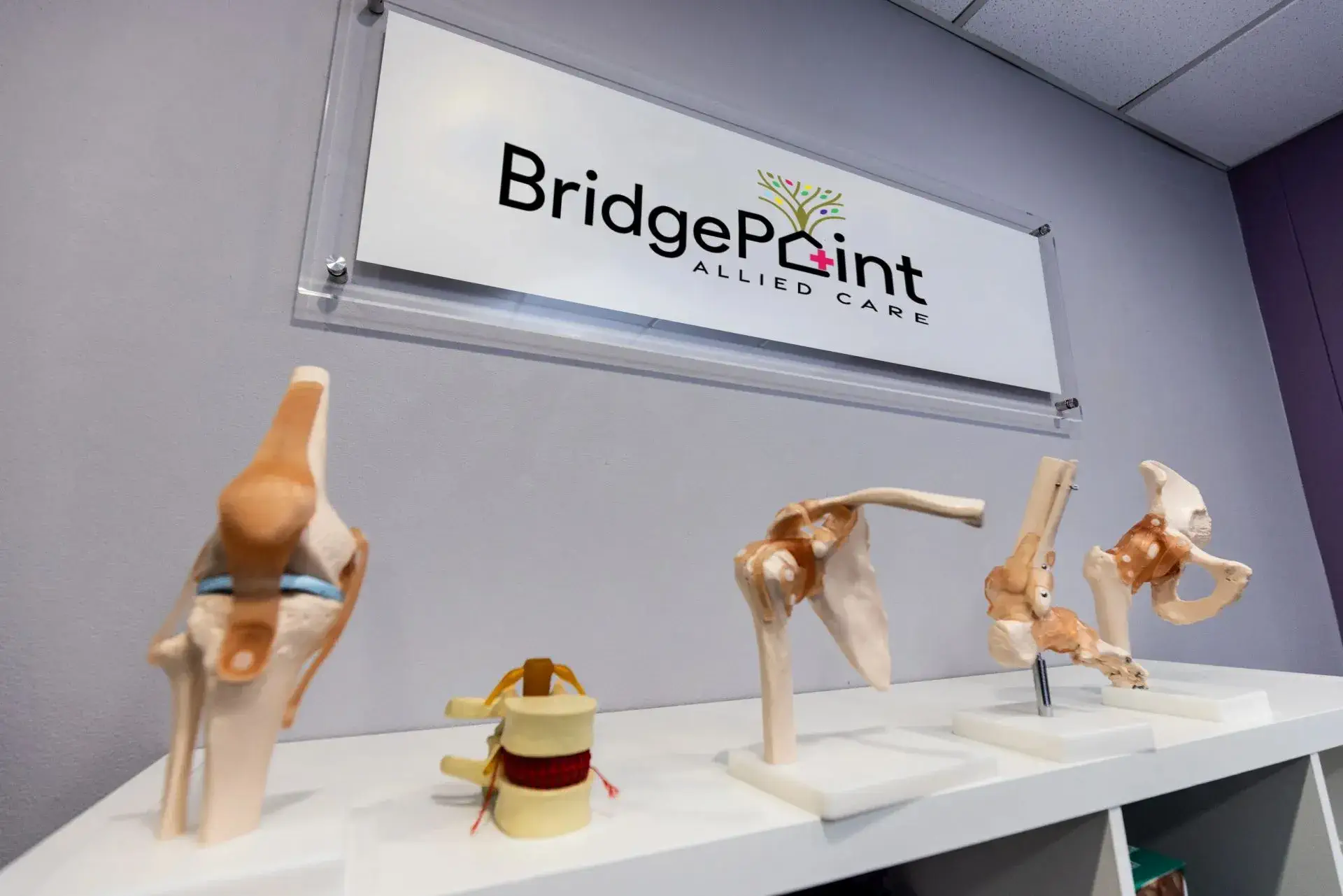 Civic Park Medical Centre Chief Physiotherapist in action